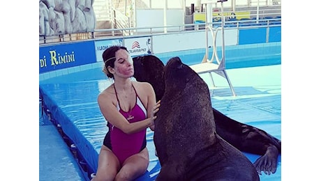 Gessica Notaro, la miss sfregiata con l'acido, torna accanto ai suoi leoni marini: «Ecco qua la mia forza»