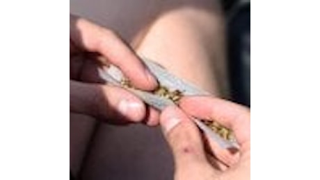 Usa, cala il consumo di marijuana tra i giovani dopo la legalizzazione