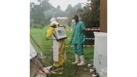 La distruzione dei boschi in Africa ha favorito il rischio Ebola