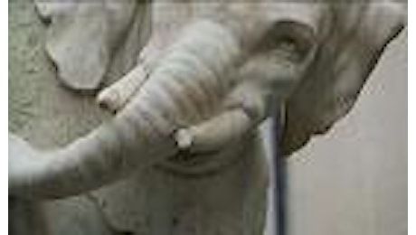 Roma: danneggiato l'Elefante del Bernini