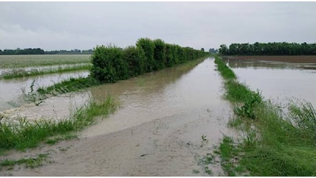 Alluvione. Le coop agricole romagnole a Roma al Ministero della Protezione civile. Cab Massari: Rimborsi per meno del 15% del danno complessivo