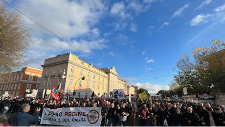 Ddl Sicurezza, cosa contiene il disegno di legge contestato in piazza