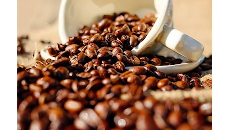 Prezzi Caffè: Clima Ostile in Brasile, Il Future Coffee Arabica Tocca il +90% in 11 Mesi