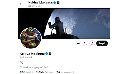 Musk cambia nome su X e diventa Kekius Maximus