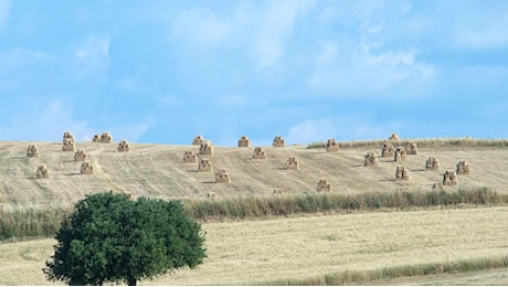 Clima avverso e consumi in calo: una tempesta nel boccale di birra