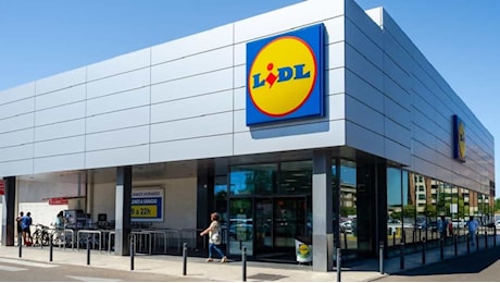 Lidl ha appena aperto un negozio specializzato in un certo tipo di prodotto che tutti bramano!