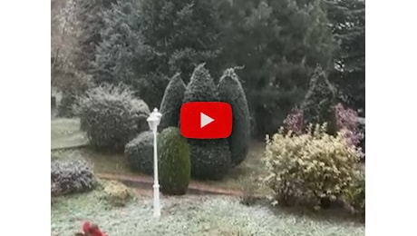 Meteo Cronaca: Varese sotto la neve, prati e campi si tingono di bianco, il Video