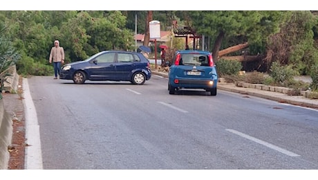 Maltempo a Palermo, danni per il forte vento: in via Lanza di Scala strada bloccata per due alberi caduti. VIDEO