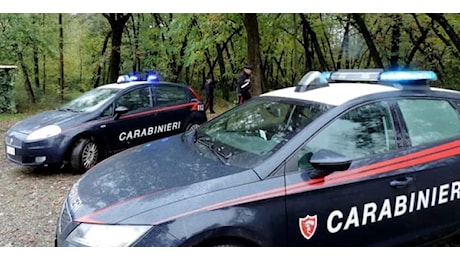 Cadavere di un uomo nei boschi dello spaccio tra Vanzago e Pogliano Milanese