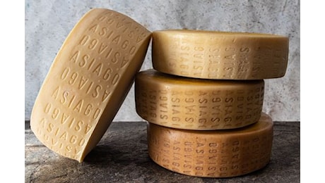 L’ Asiago Dop tra i primi 15 prodotti cibo Dop e Igp italiani