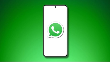 WhatsApp, stop alle animazioni invadenti: decidi tu cosa si muove