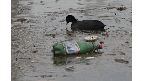 Il Trattato globale per ridurre l'inquinamento da plastica dovrà aspettare