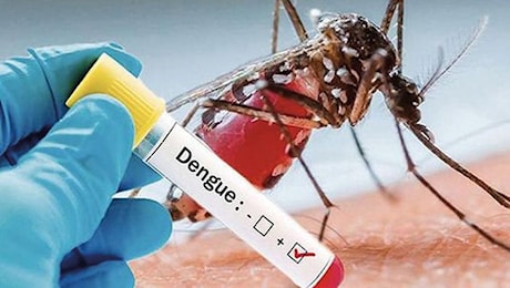 Maxi focolaio di Dengue a Fano: 102 casi accertati e 10 probabili