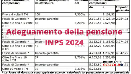 Pensione novembre 2024 INPS, in arrivo arretrati ed aumenti, ecco per chi