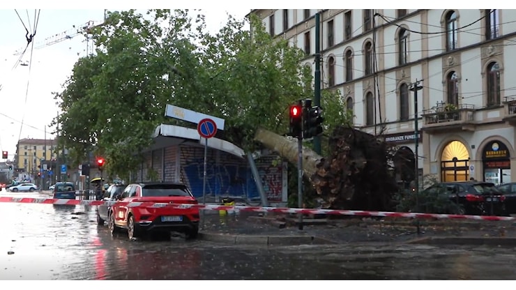 Nubifragio a Milano, grosso albero si abbatte su un chiosco in piazza Baiamonti. Il video - Il Fatto Quotidiano Nubifragio a Milano, grosso albero si abbatte su un chiosco in piazza Baiamonti. Il video - Il Fatto Quotidiano
