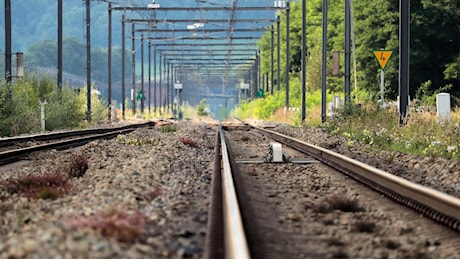 Una donna e la sua cagnolina muoiono travolte da un treno: lei stava cercando di salvare la bestiola