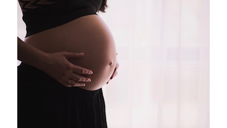 La proposta di FI per la maternità: «Mille euro al mese alle donne che rinunciano all'aborto»