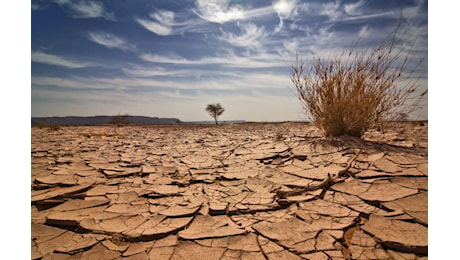 Allarme siccità in Italia, tra 3 settimane non ci sarà acqua per irrigare i campi del centro-sud
