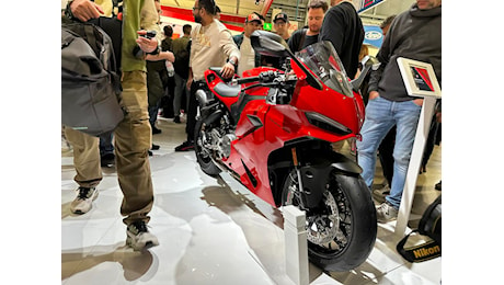 EICMA 2024 - Ducati Panigale V2 2025: per divertirsi su strada