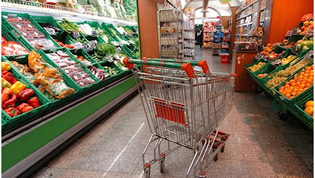 Supermercati aperti l’1 novembre 2024, da Coop a Esselunga: gli orari e dove sono