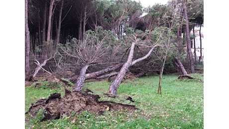 Maltempo in Romagna, allerta meteo gialla per vento e criticità idraulica