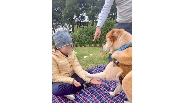 Con Masha, Pollon e Maggie la pet therapy in natura per i bambini disabili al Parco di Ulisse - Tarantini Time Quotidiano Con Masha, Pollon e Maggie la pet therapy in natura per i bambini disabili al Parco di Ulisse - Tarantini Time Quotidiano