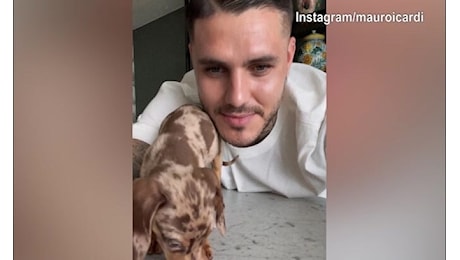 Mauro Icardi in Argentina per Wanda Nara? Lui posta video con un cagnolino...