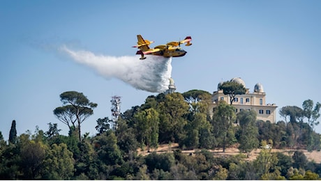 Mascherine a ruba e tronchi ancora fumanti: cosa resta di Monte Mario dopo l’incendio