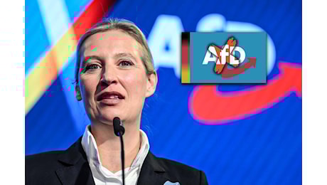 Intelligence tedesca: “AfD? Estremista”. Al via l’ipotesi esclusione ▷ Dragoni: “Avete rotto le p***e!