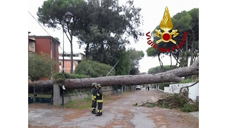 Ancora forte vento: allungata l'allerta. Codice giallo anche per la pioggia nel fiorentino