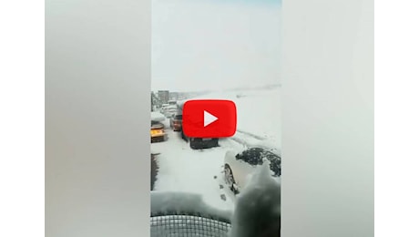 Meteo Video: Sudafrica, eccezionale Tempesta di Neve blocca auto e animali