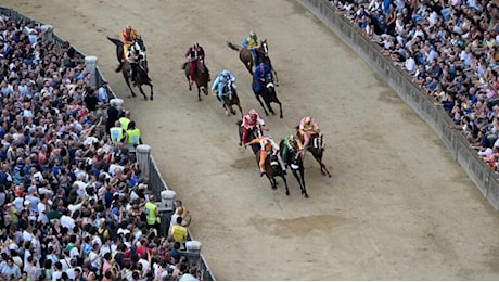 Palio di Siena, ecco i cavalli e i fantini che correranno (all'insegna dell'esordio) per le dieci Contrade