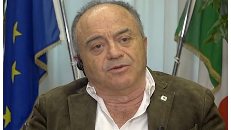 Gratteri: «È azione da clan, non di paranze che piacciono a saggisti»