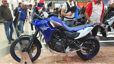 Yamaha Ténéré 700 e Ténéré 700 Rally: le novità per il 2025