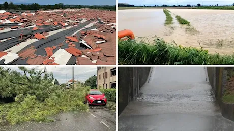 Emergenza maltempo in Friuli: alberi a terra, allagamenti e case scoperchiate