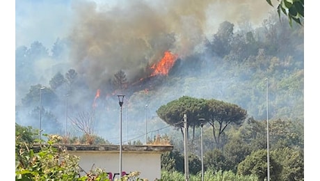 Roma, incendio vicino alla città giudiziaria: in corso le operazioni di spegnimento