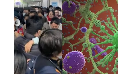 Virus Hpmv: che cosa è e perchè sta spaventando la Cina; sintomi, trasmissione e cura, parlano gli esperti