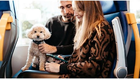 Al via da oggi la nuova coppia di treni veloci tra Bologna e Ravenna e confermate le Frecciargento Ravenna-Roma. Fino alla Befana gli animali viaggiano gratis su Frecce e Intercity