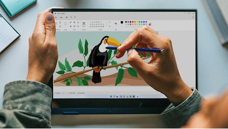 Microsoft sfida Photoshop con l'IA integrata nei Copilot Plus PC con Paint e Foto