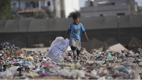 I camion che trasportavano aiuti alimentari per la Striscia di Gaza sono stati assaltati e saccheggiati