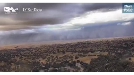 California attraversata da un muro di sabbia e polvere, l'effetto distruttivo dell'haboob su alberi e recinzioni - VIDEO