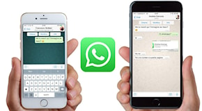 WhatsApp non funziona più, ecco su quali smartphone: i modelli