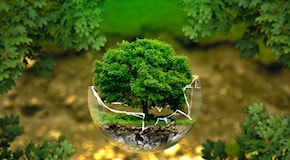 Sostenibilità Aziendale: Come le PMI Possono Navigare con Successo la Transizione Verde e Evitare il Greenwashing