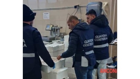 Operazione 'e - Fishing': nel 2024 sequestrate dalla Guardia Costiera 2 tonnellate di prodotti ittici