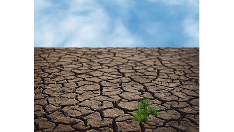 Caldo e siccità: in Sicilia un 2023 da record
