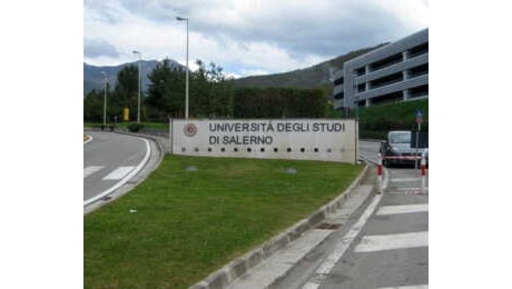 Albero caduto e studenti in ospedale, l'Unisa: 'Addolorati, in corso verifica straordinaria del verde'