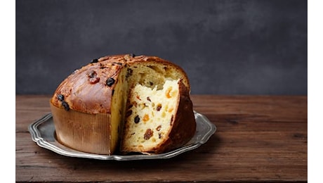 Re Panettone 2024 a Milano: premiati i migliori prodotti artigianali. FOTO