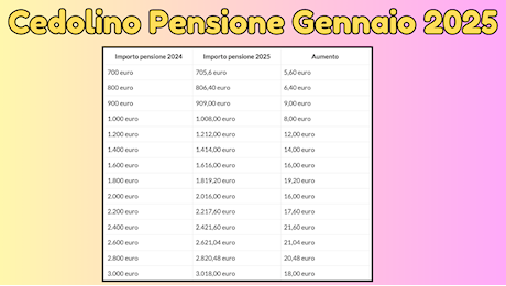 Cedolino Pensione Gennaio 2025: Ecco quando sarà visibile?