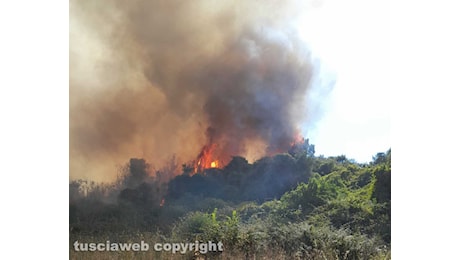 Ancora fiamme a Cesano, dopo il poligono l’incendio si sposta verso la Valle del Baccano