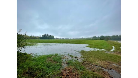 Temporali, frane e piene dei torrenti: 24 ore di allerta gialla nel Piacentino